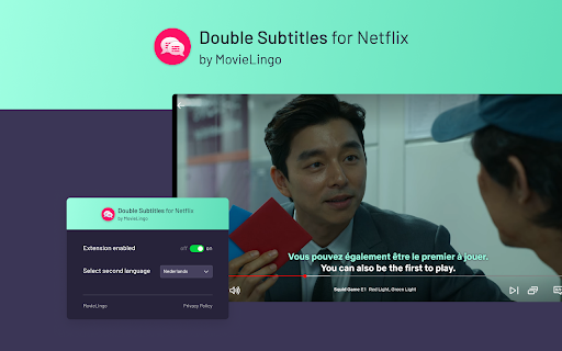 Double Subtitles for Netflix by MovieLingo screenshot