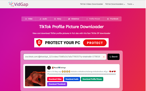 VidGap – TikTok Video Downloader Without Watermark screenshot