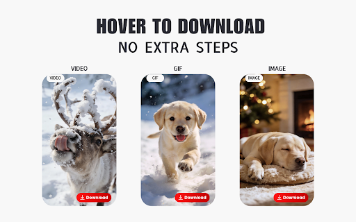 PinLoad - Pinterest Video Downloader screenshot