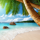 Beach Ocean Wallpapers – Tropical Nature Backgrounds icon
