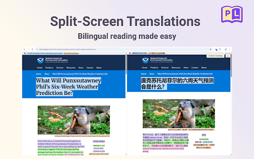 Paralate - Parallel Web Page Translation screenshot