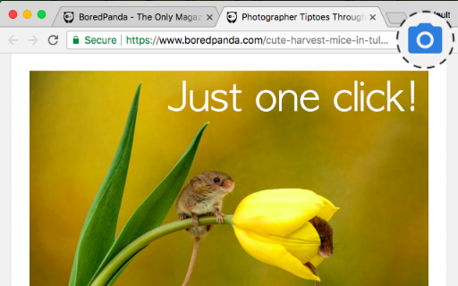 Simple screenshot screenshot