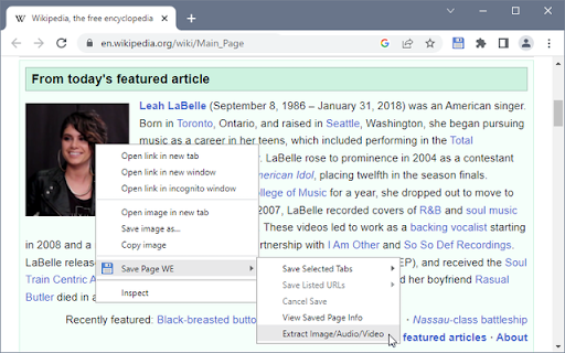Save Page WE screenshot