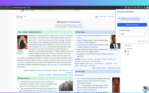 AI Summary Generator - Automatically Summarize Website Content screenshot