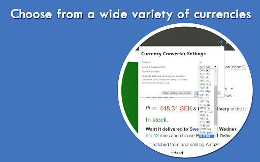 Automatic Currency Converter screenshot
