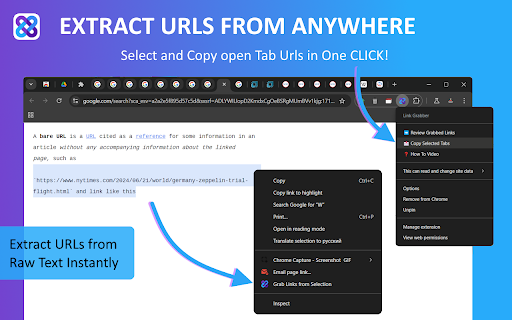 Link Grabber screenshot