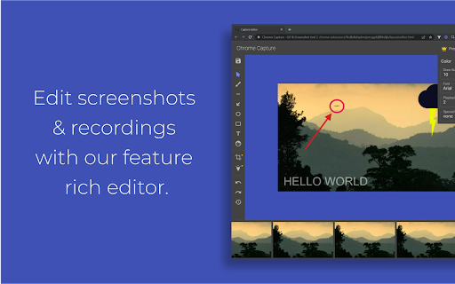 Chrome Capture - Screenshot & GIF screenshot