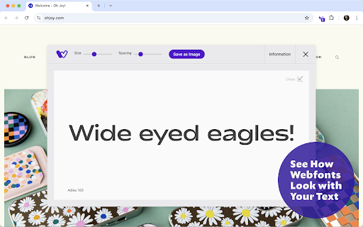 Wordmark Extension screenshot
