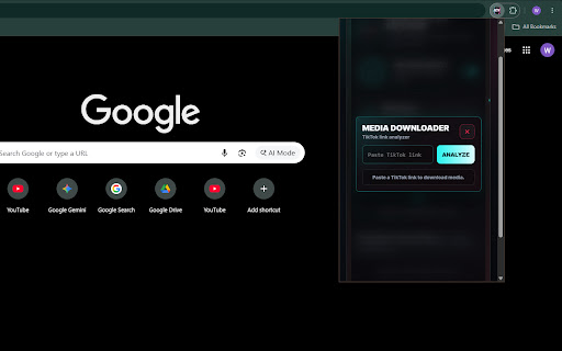 WTM TikTok Method screenshot