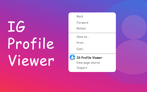 IG Profile Viewer screenshot