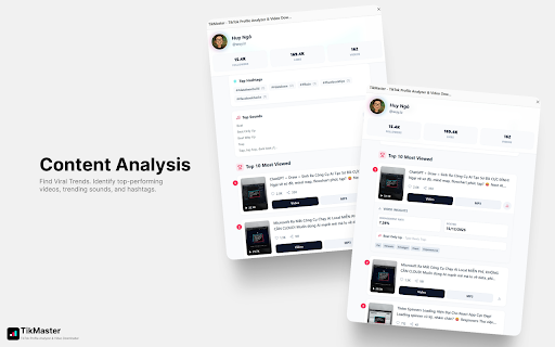 TikMaster - TikTok Profile Analyzer & Video Downloader screenshot