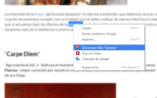 Diccionario RAE en un clic 2022 screenshot