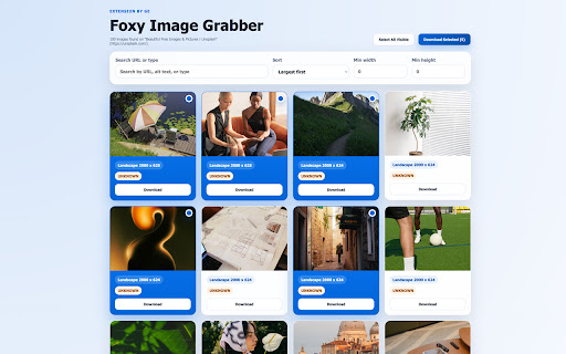 Foxy Image Grabber screenshot