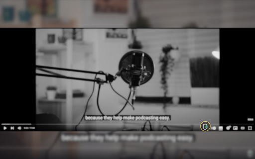 Youtube Timestamp Saver screenshot