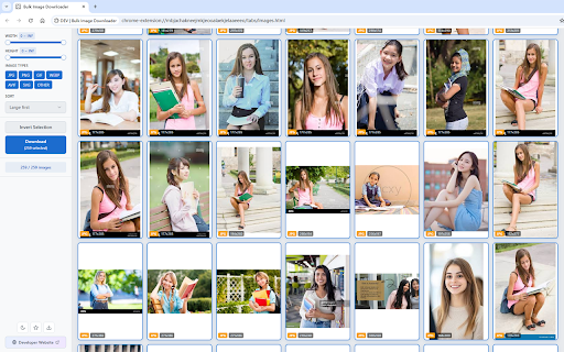 Bulk Image Downloader screenshot