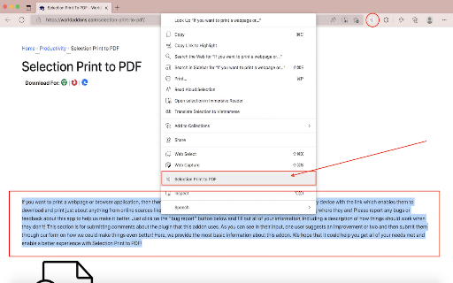Selection Print to PDF screenshot