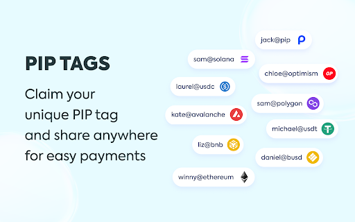 PIP screenshot