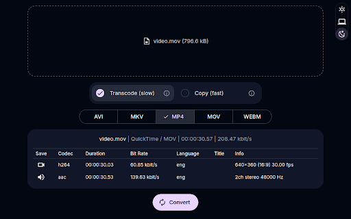 Video Converter screenshot
