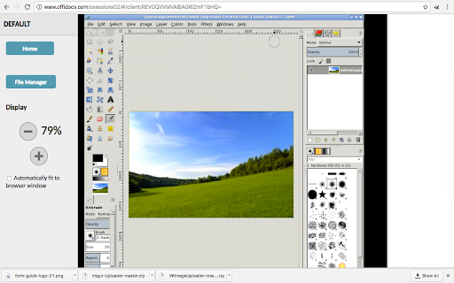 Gimp online - image editor and paint tool screenshot