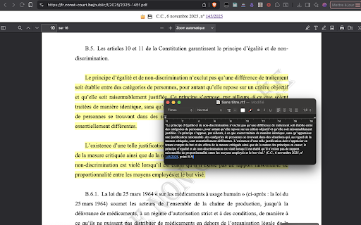 Better Belgian Constitutional Court screenshot