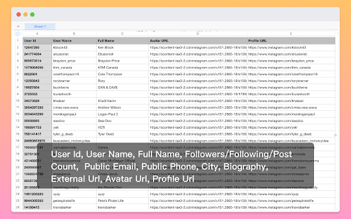IGFollowExporter - Export Instagram Followers screenshot