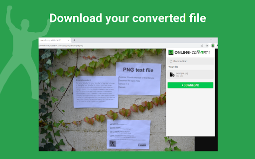 File Converter - By Online-Convert.com screenshot