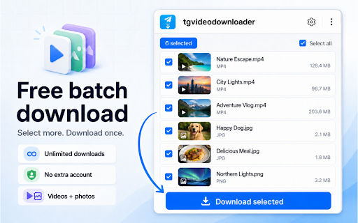 TGDown – Free Telegram Video Downloader | Unlimited Batch screenshot