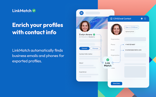 LinkMatch for CSV screenshot