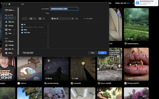 TikTok Browser Downloader screenshot