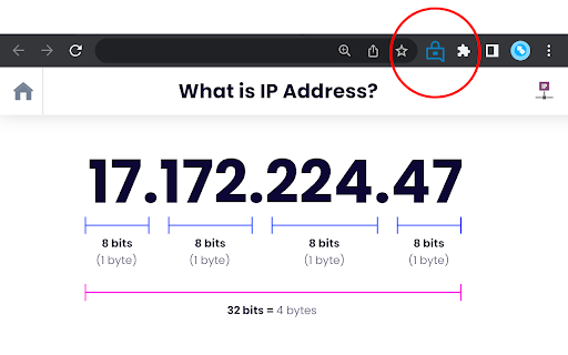 WebRTC Protect - Protect IP Leak screenshot