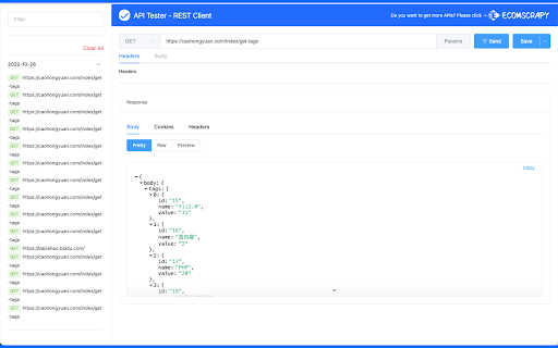 API Tester - REST Client Testing Tool screenshot