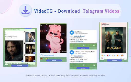VideoTG - Telegram Video Downloader for Telegram Web screenshot