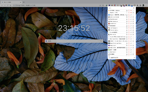 IExtension screenshot