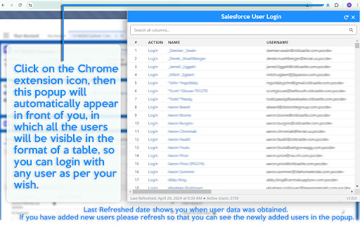 Salesforce User Login screenshot