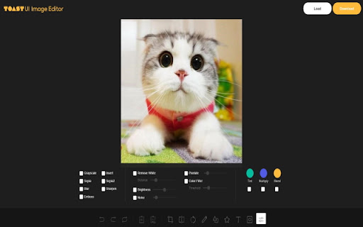Photo Editor in Google Chrome™ screenshot