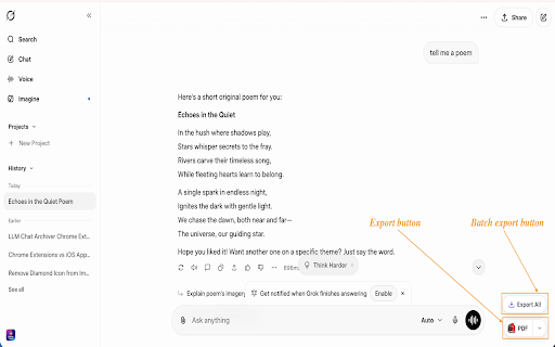 Grok to PDF: Export Grok Chats to PDF, Markdown, JSON screenshot