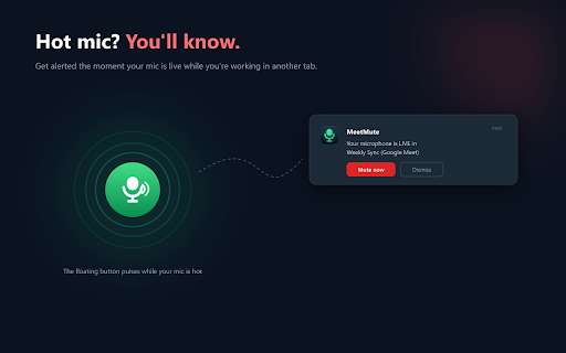 MeetMute: Mute, Auto-Mute for Google Meet screenshot