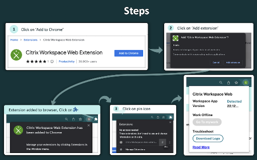 Citrix Web Extension screenshot