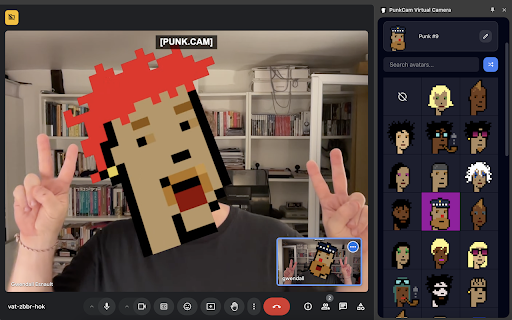 PunkCam Virtual Camera screenshot