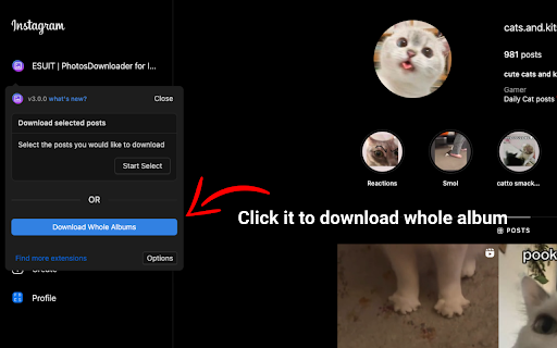 ESUIT | Photos Downloader for Instagram™ screenshot