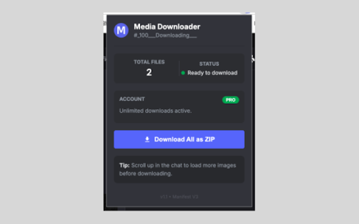 Discord Media Downloader – Discord Video & Image Download Tool screenshot