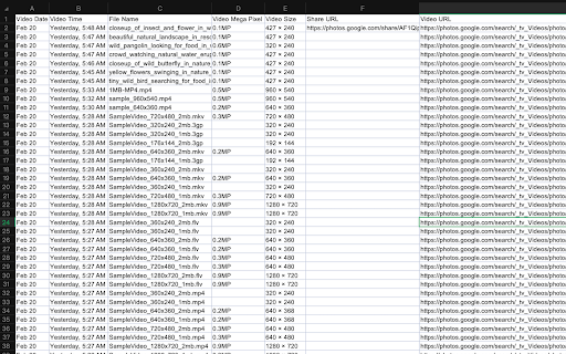 Google Photos Video Exporter screenshot