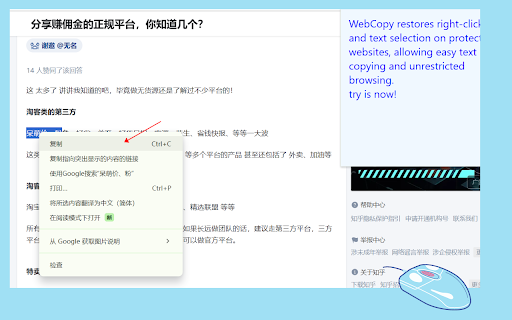 simple web copy screenshot