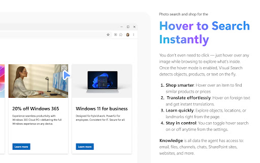 Bing Visual Search screenshot