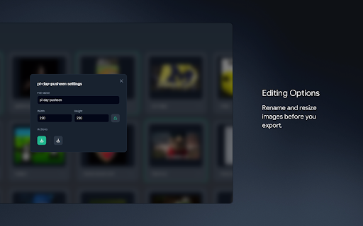 GIF Export screenshot