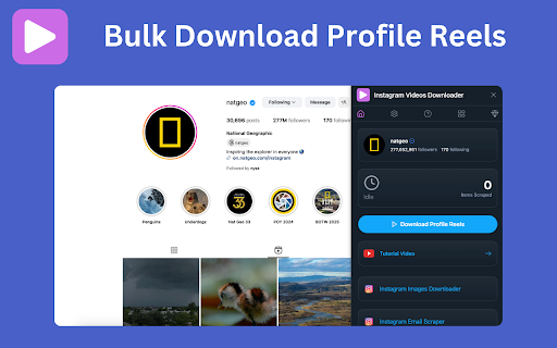 Videos Downloader for Social Media screenshot