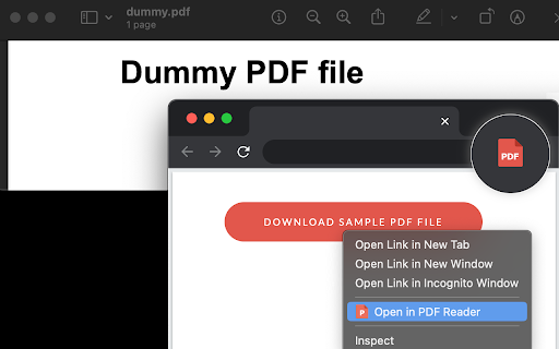 Open in PDF Reader screenshot