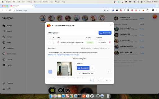Social Media Downloader screenshot