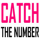Catch the Number - HTML5 Game icon