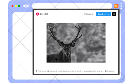 PicPortal screenshot